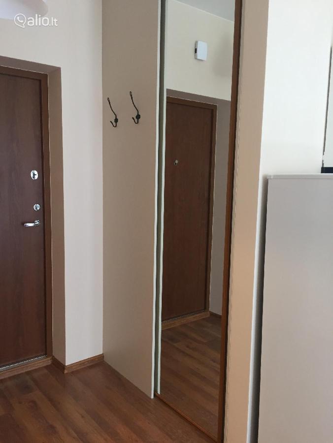 Close To Panorama Center Apartment Self Check-In Garage Free ヴィリニュス エクステリア 写真